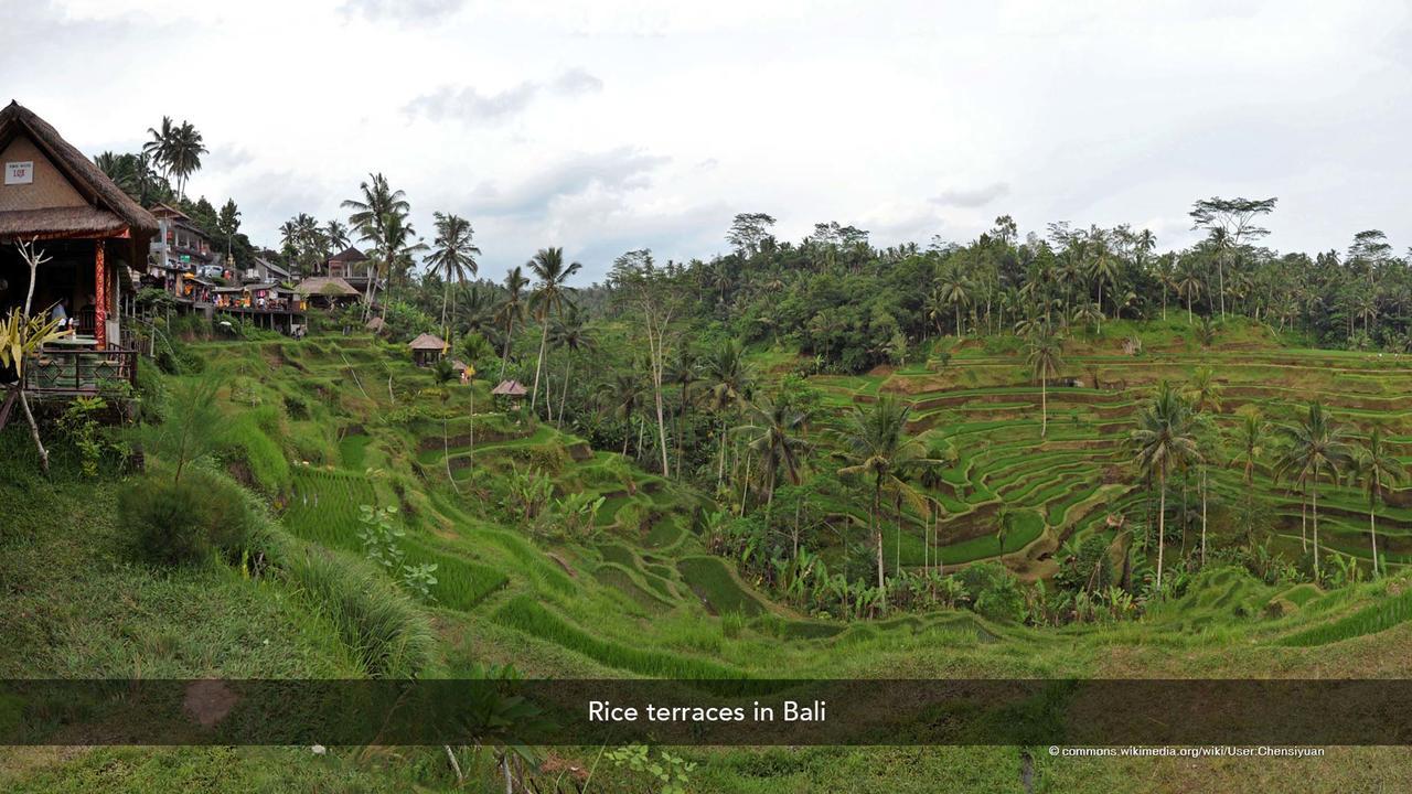 Zen Rooms Basic Kuta Kubu Anyar エクステリア 写真